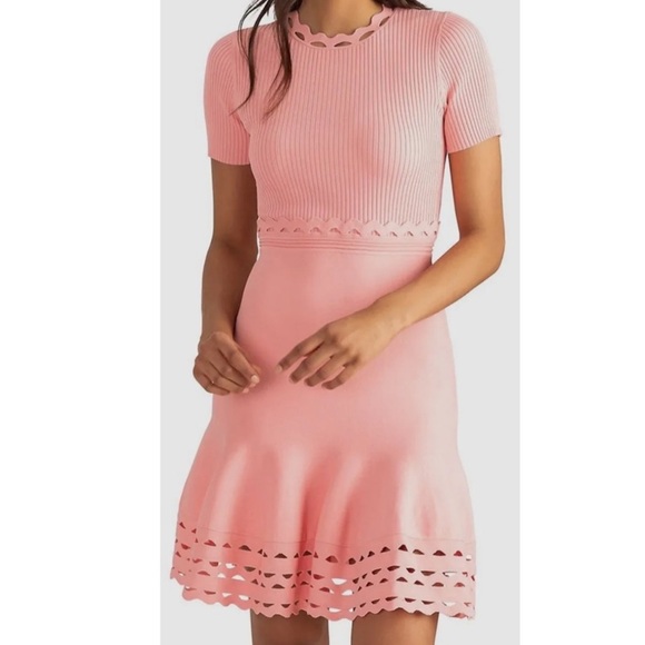 Shoshanna Pink Gemma Eyelete cut out Preppy Short Sleeve Fit flare dress XS - Picture 3 of 15